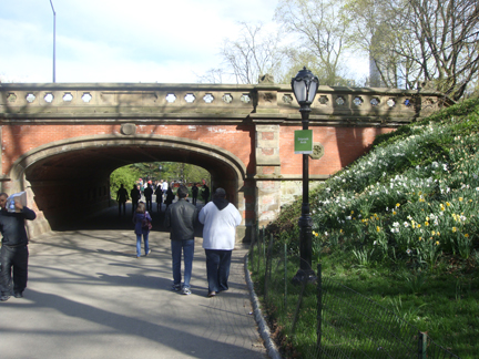 CP walk under arch