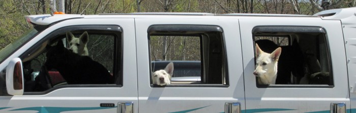 Lazy Sunday, but looking good. Their driver was shopping at the hardware store.