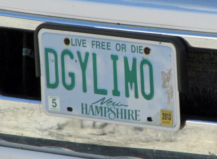 The owner of the truck may just love his dogs. I'm not sure.