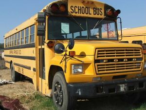 It always looked like a lion to me