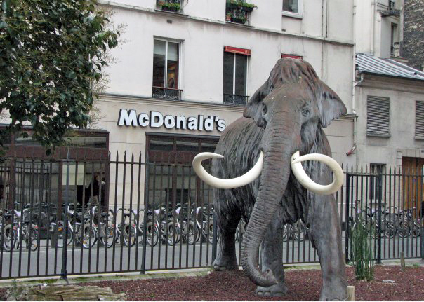 My favorite McDonalds