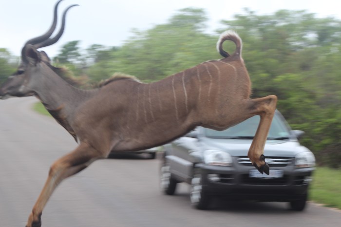 look out!  William caught this near miss!