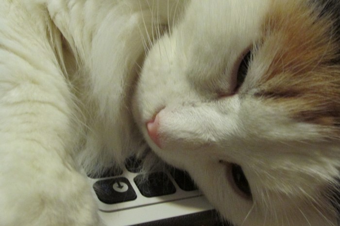 Too warm to let me check my email.....