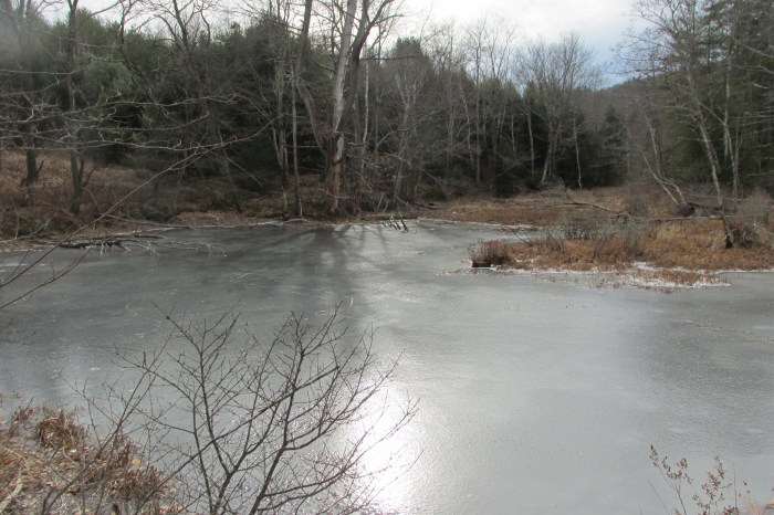 Frozen lake, part of the beauty of winter.