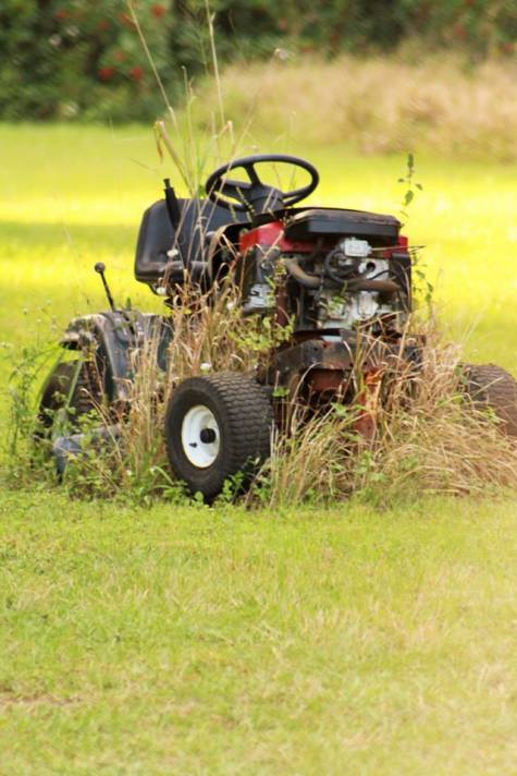 I'm not saying people in Florida are LAZY, but I'm guessing this lawnmower is broken.